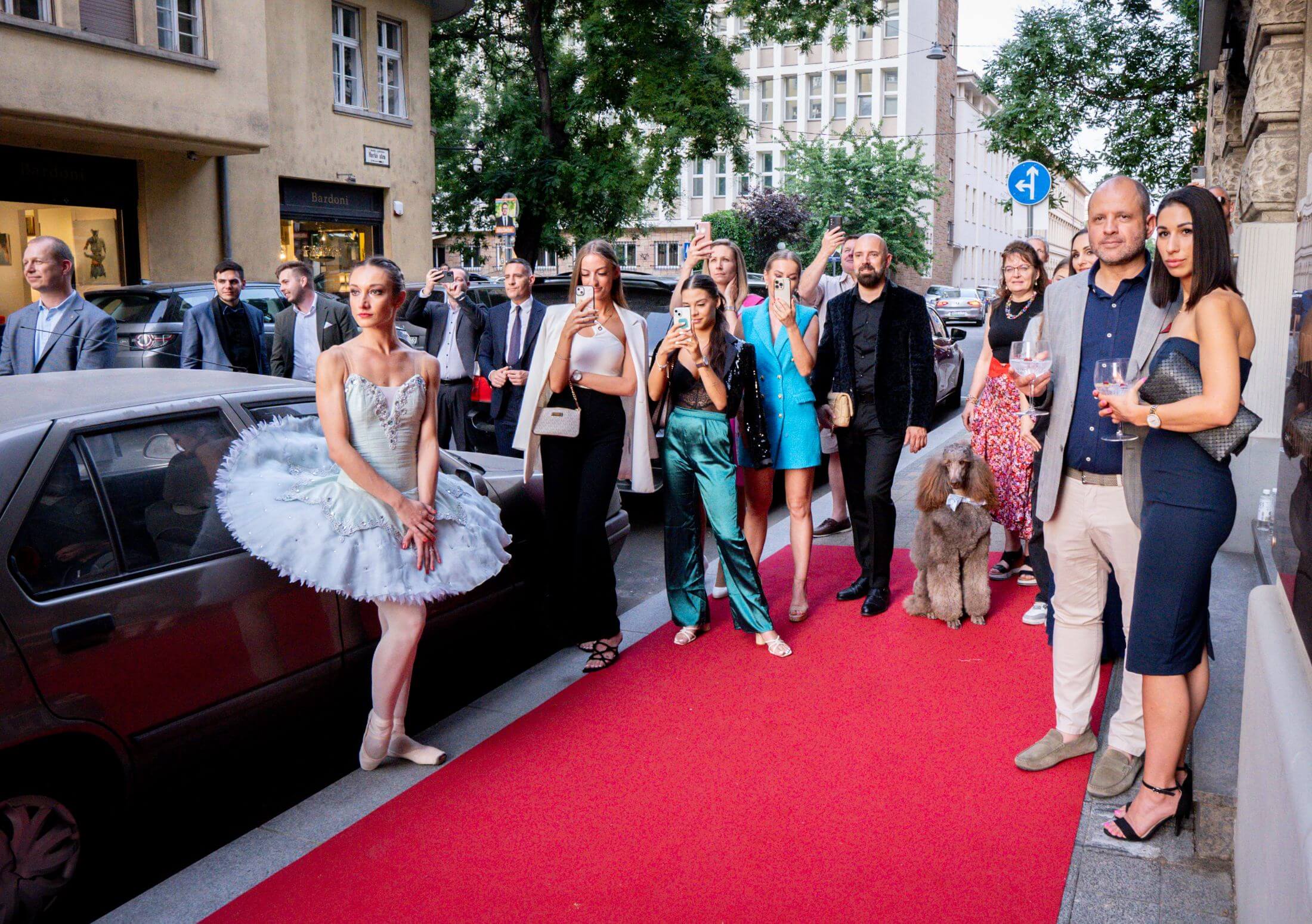 canissi grand opening party 192